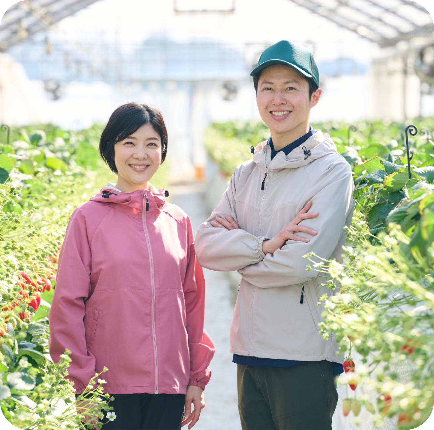 地域を元気にする